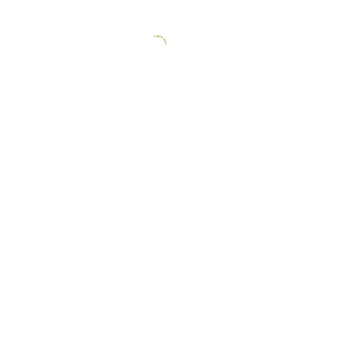 HOYO EN UNO