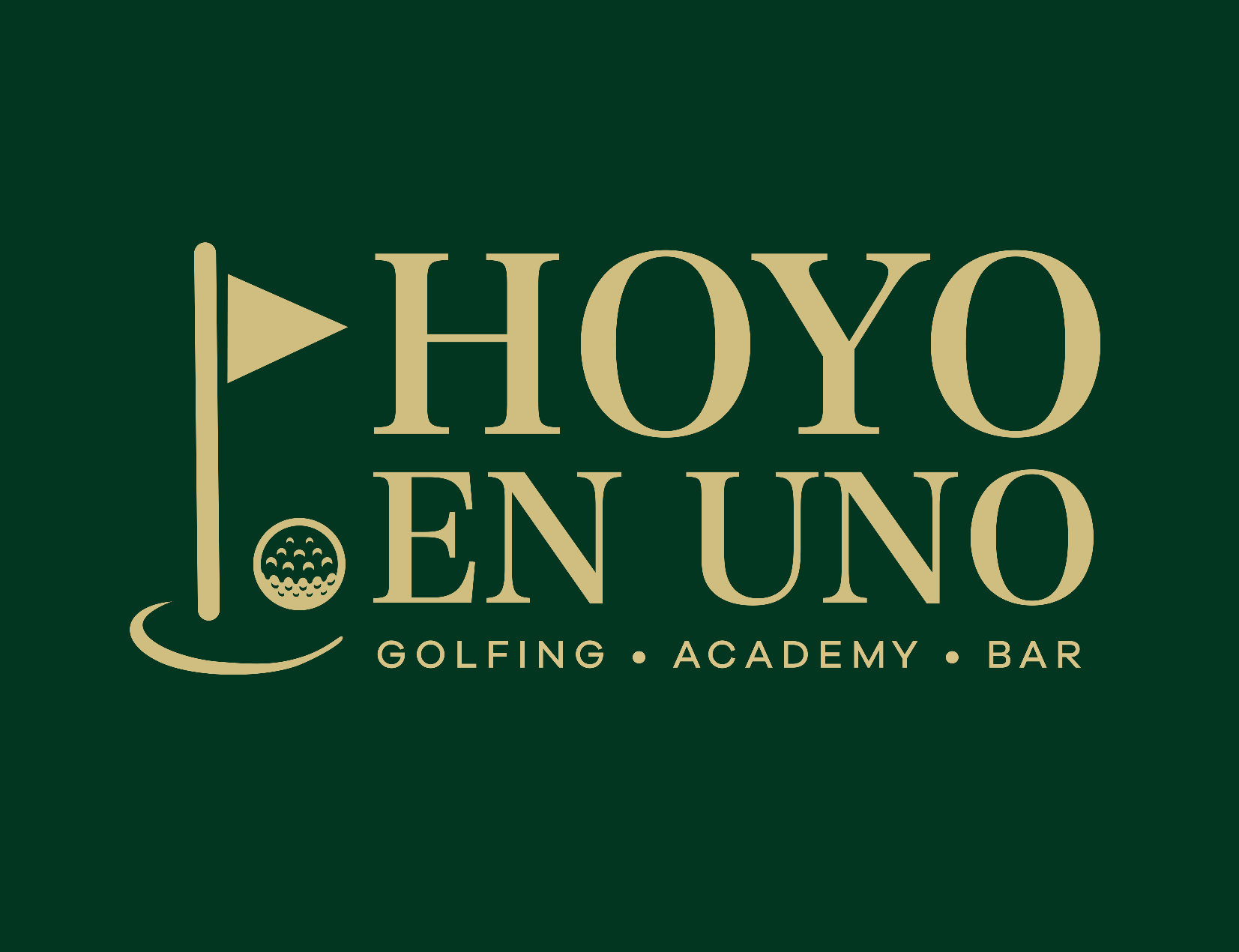 HOYO EN UNO